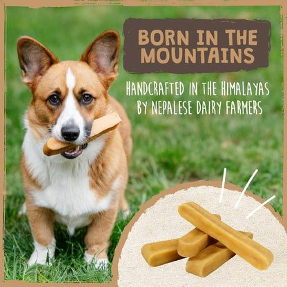 Mighty Paw Yak Cheese Dog Chews – All-Natural Long Lasting Hard Chew for Aggressive Chewers – High Protein, Odor-Free Dog Treat – 3 Ingredient Natural Yak Chews for Large Dogs – (4 Pack)