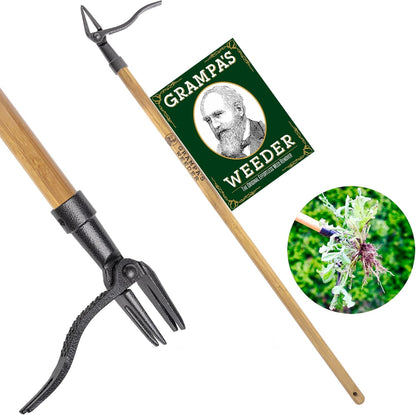 Grampa's Weeder - The Original Stand Up Weed Puller Tool with Long Handle - Made with Real Bamboo & 4-Claw Steel Head Design - Easily Remove Weeds Without Bending, Pulling, or Kneeling.