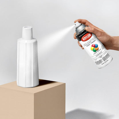 Krylon K05545007 COLORmaxx Spray Paint and Primer for Indoor/Outdoor Use, Gloss White 12 Oz (Pack of 1)