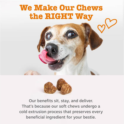 Zesty Paws Dog Multivitamin, Chewable Dog Vitamins and Supplements for Hip & Joints, Skin & Coat, Omega 3 Fish Oil for Dogs- Senior & Puppy Multivitamin- Chicken- 90ct