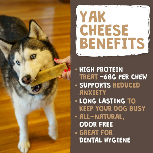 Mighty Paw Yak Cheese Dog Chews – All-Natural Long Lasting Hard Chew for Aggressive Chewers – High Protein, Odor-Free Dog Treat – 3 Ingredient Natural Yak Chews for Large Dogs – (4 Pack)