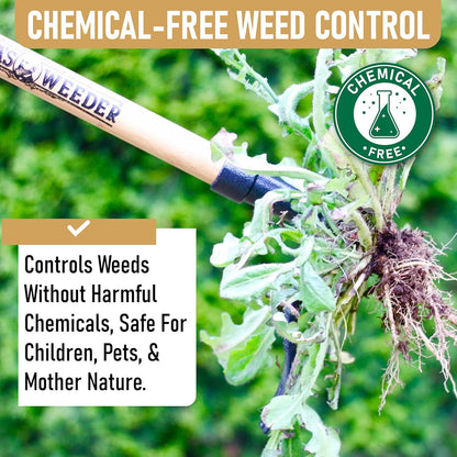 Grampa's Weeder - The Original Stand Up Weed Puller Tool with Long Handle - Made with Real Bamboo & 4-Claw Steel Head Design - Easily Remove Weeds Without Bending, Pulling, or Kneeling.