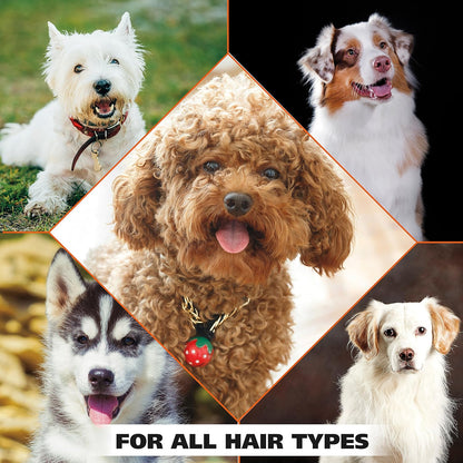 Wahl USA Dry Skin & Itch Relief Pet Shampoo for Dogs – Oatmeal Formula with Coconut Lime Verbena Scent & Pet Friendly Formula, 24 Oz - Model 820004A